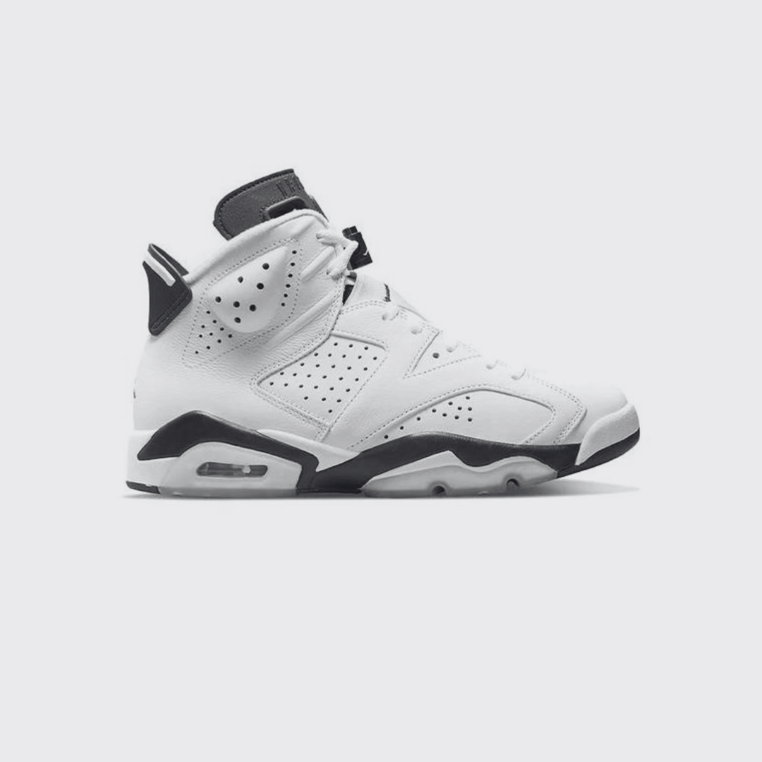 Air Jordan 6